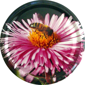 capsule to82fleur/abeille carton 