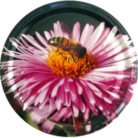 Capsule to 63 fleur/abeille le sachet de 100