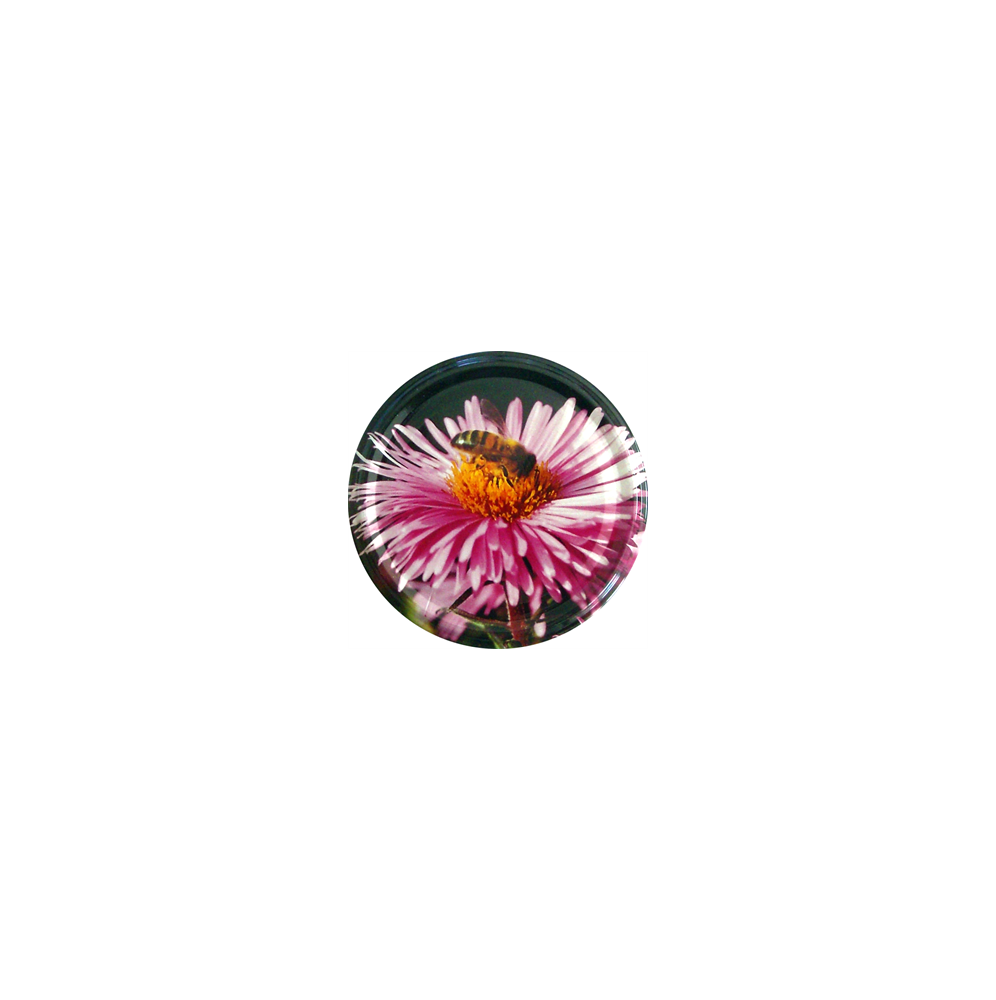 Capsule to 63 fleur/abeille le sachet de 100