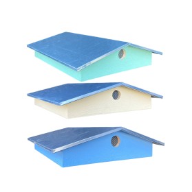 toit chalet dadant peint