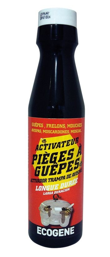 appat piege frelon