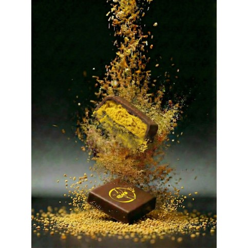 carré apisaveurs chateau des reines