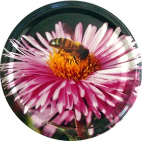 capsule fleur abeille