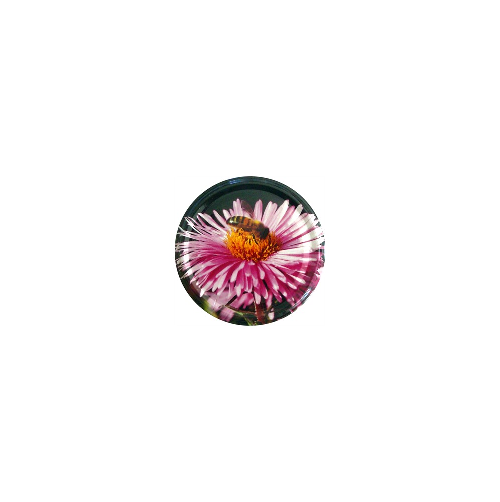 capsule fleur abeille