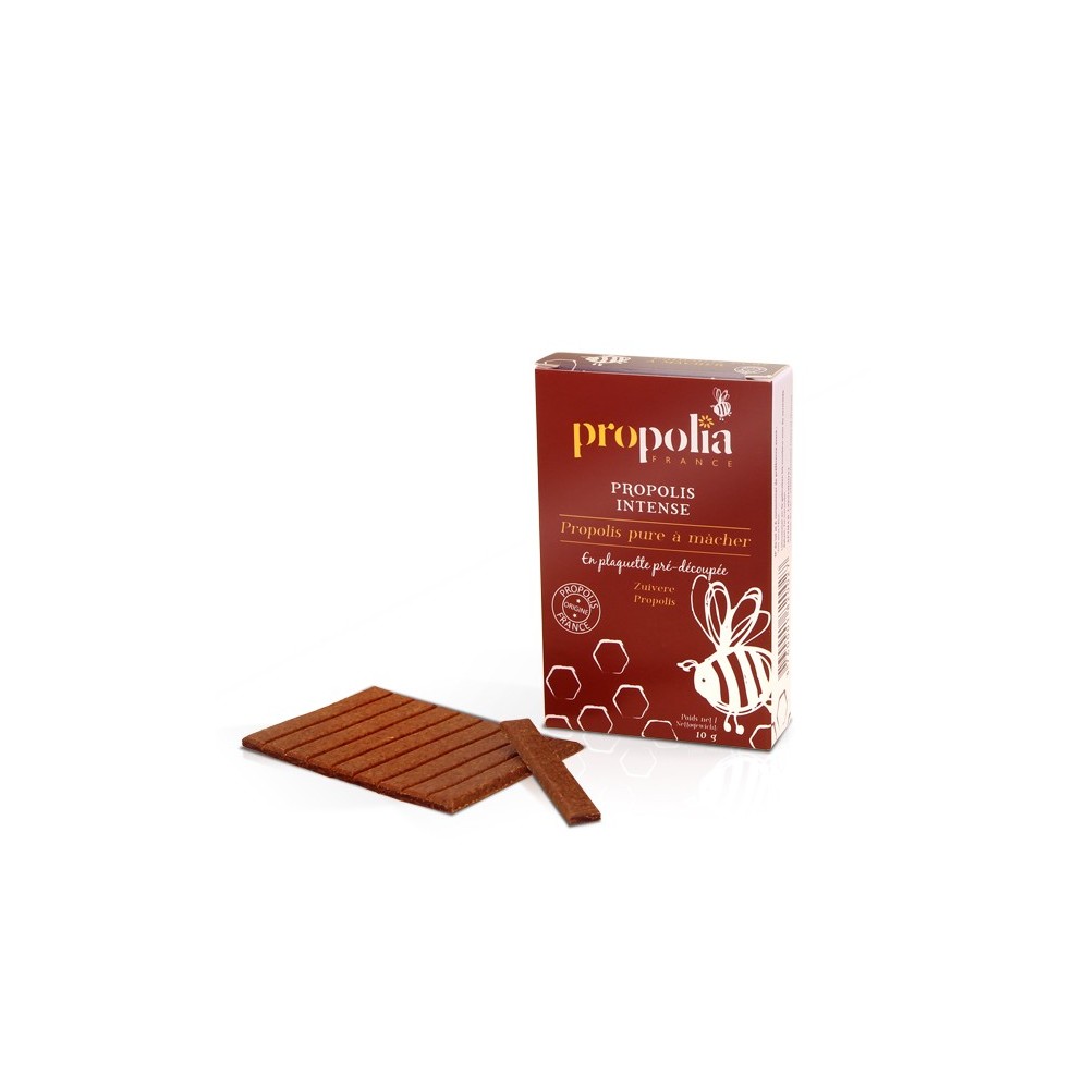 Propolis Pure à mâcher