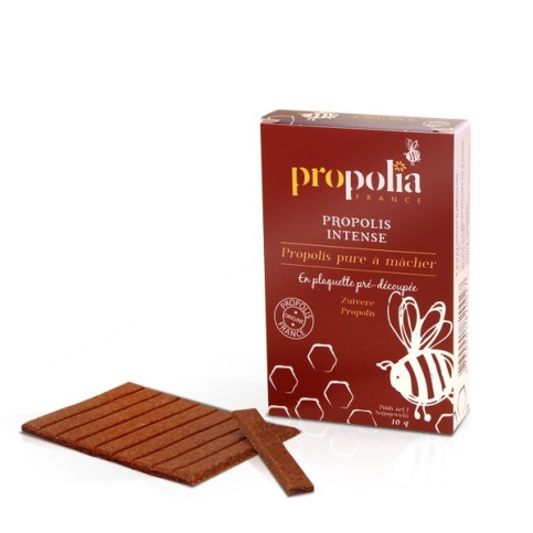 Propolis Pure à mâcher