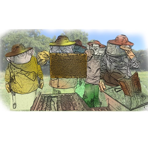 STAGE - Module 2 - Mon travail au rucher – 15 mai 2021 Apisaveurs