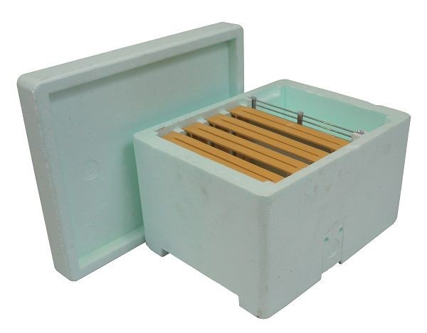 Nuclei polystyrene 4 cadrons inclus