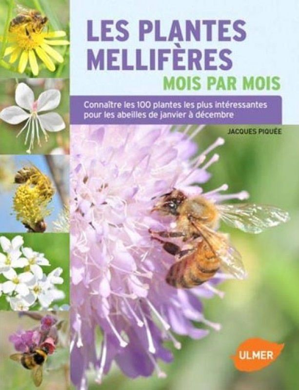 Les plantes melliferes mois par mois Apisaveurs