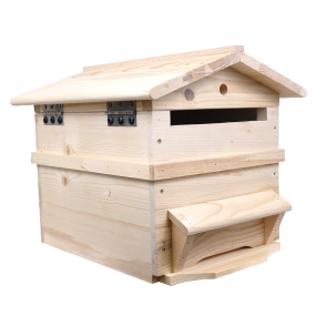 Boite aux lettres ruche...