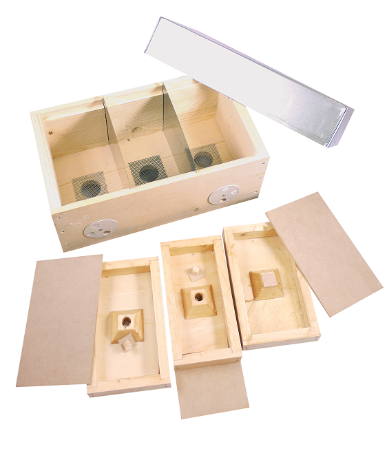 TRIO NUC 12 CADRONS 