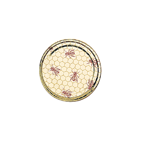 Capsule to 82 alveole/abeille le carton de 750