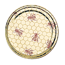 Capsule to 82 alveole/abeille le carton de 750