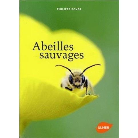 Abeille sauvages - p.boyer