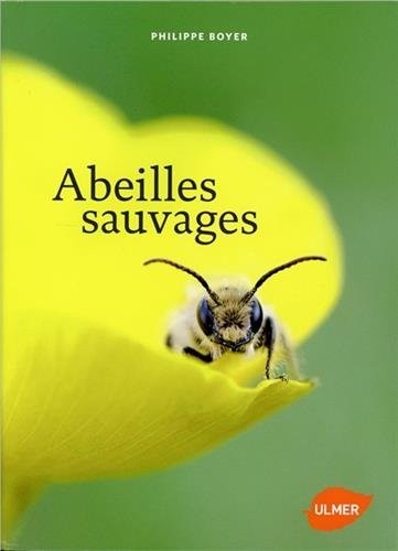 Abeille sauvages - p.boyer