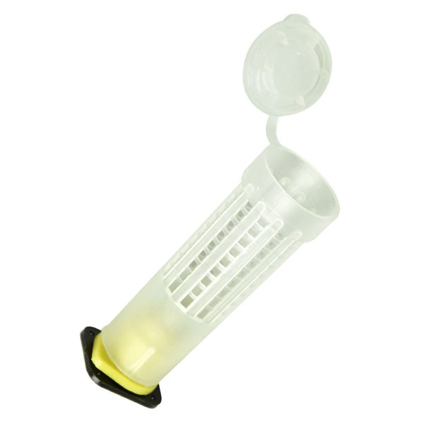 Kit elevage de reine support, bloc, cupule et cage