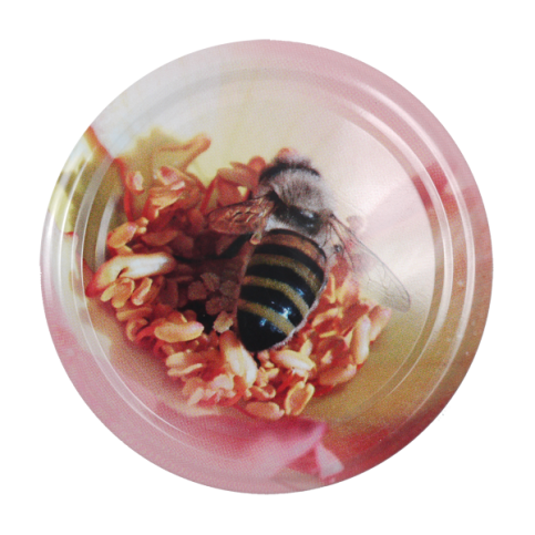 Capsule to 82 paysage/abeilles le carton de 740