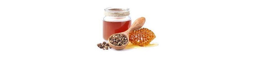Apithérapie - Apisaveurs, la plateforme de l'apiculture