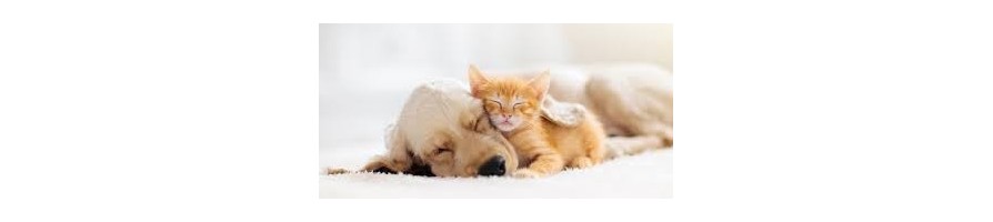 Gamme Animaux - Miel & Cire