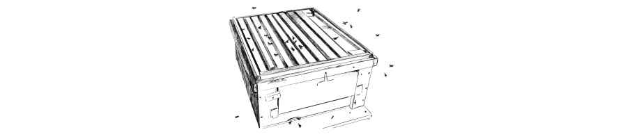 Ruches - Apisaveurs la plateforme de l'apiculture